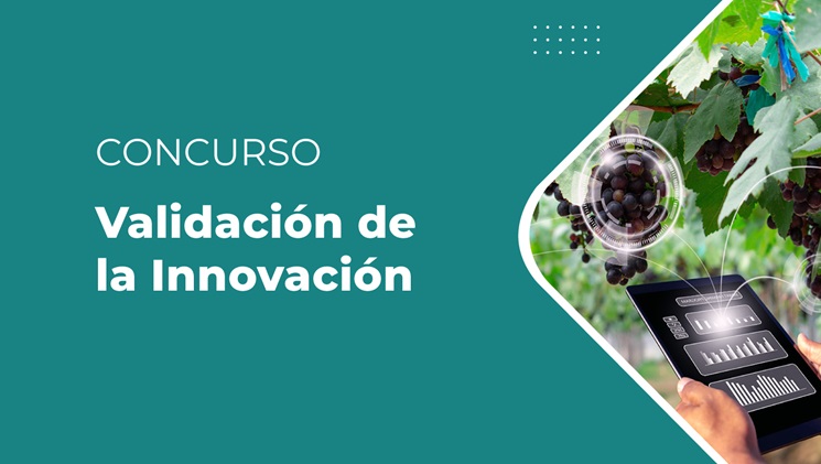 Validación de la Innovación (Noviembre 2024-2025)