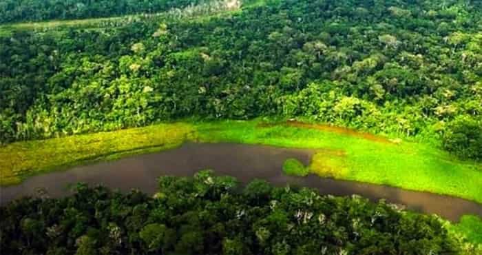 Minam impulsa conservación de bosques con incentivos a comunidades de Loreto, Pasco y Ucayali
