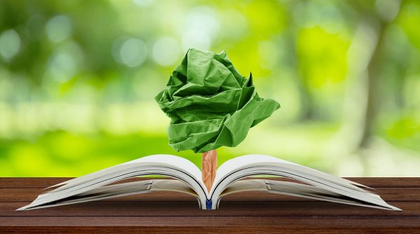 Educación ambiental para las nuevas generaciones