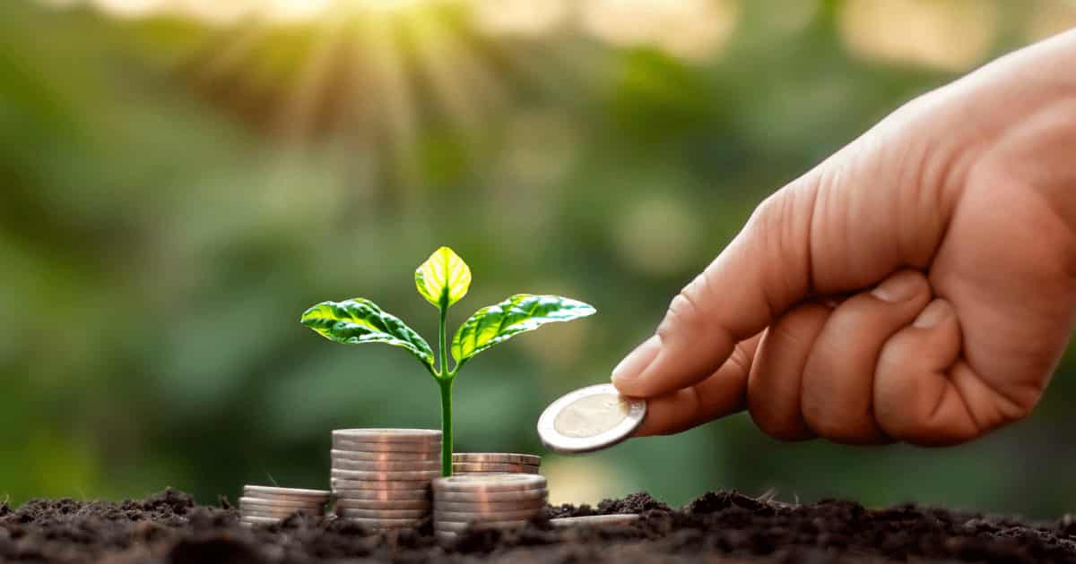 Finanzas verdes: invertir en el futuro del planeta