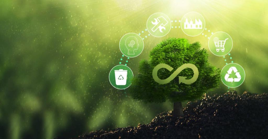 La transición verde en América Latina: desafíos y oportunidades