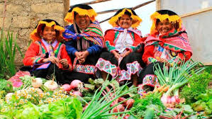 Economía circular en comunidades rurales del Perú: modelos innovadores de gestión de residuos y reutilización local